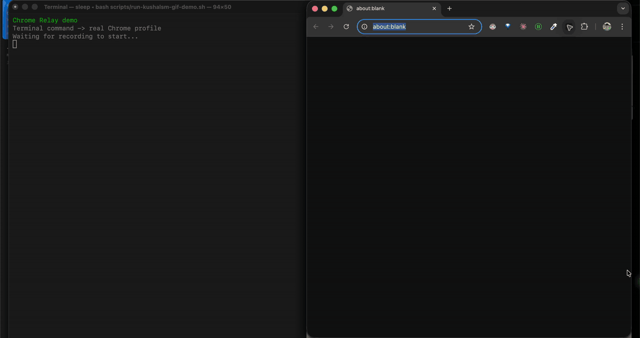 chrome-relay navigating Kushal's site from a local terminal